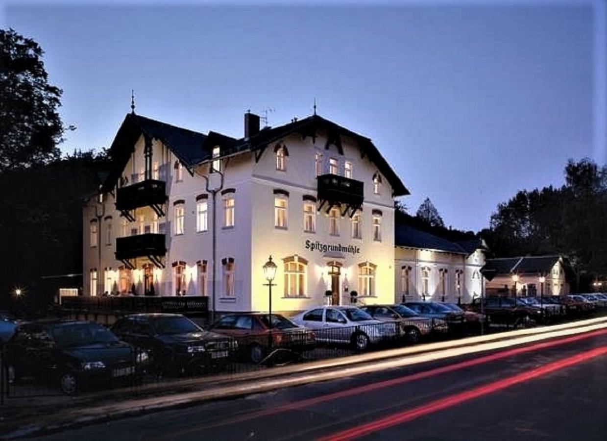 Historische Spitzgrundmuehle Hotel Coswig  Buitenkant foto