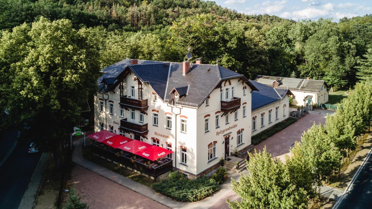 Historische Spitzgrundmuehle Hotel Coswig  Buitenkant foto