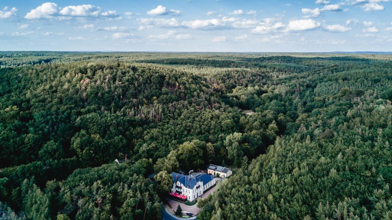 Historische Spitzgrundmuehle Hotel Coswig  Buitenkant foto