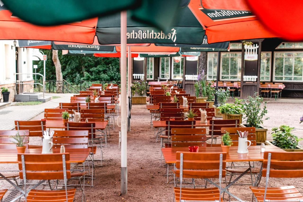 Historische Spitzgrundmuehle Hotel Coswig  Buitenkant foto